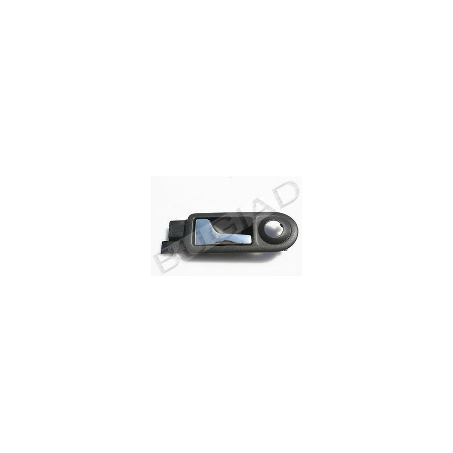 BUGIAD Bsp20466 Door Handle, Interior