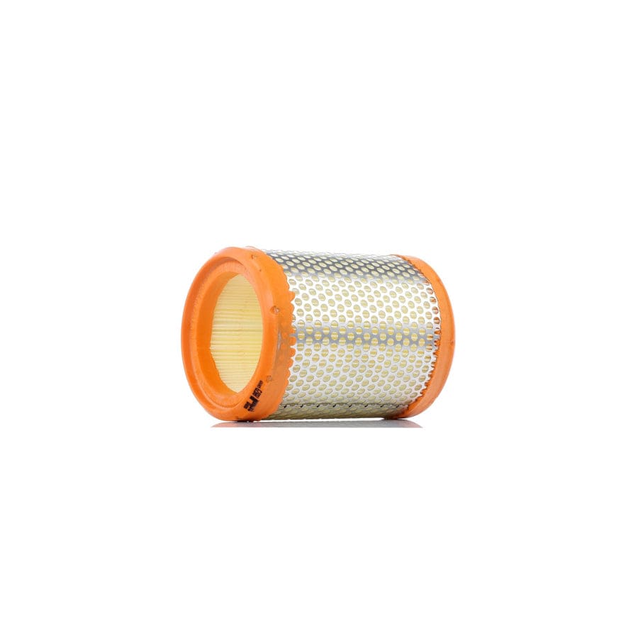 Purflux A973 Air Filter