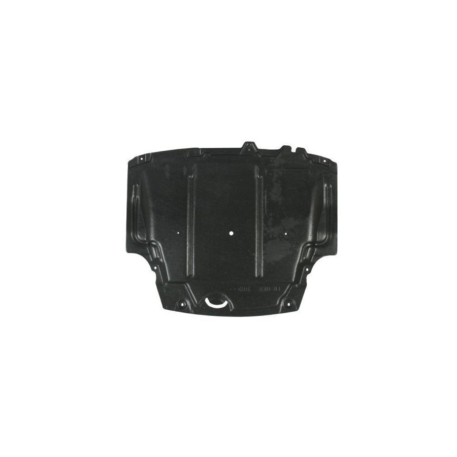 Blic 6601-02-2566860P Engine Cover