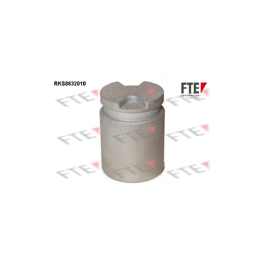 FTE 9313261 Piston, Brake Caliper for Mazda MX-3 (Ec)