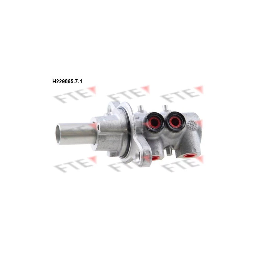 FTE H229065.7.1 Brake Master Cylinder