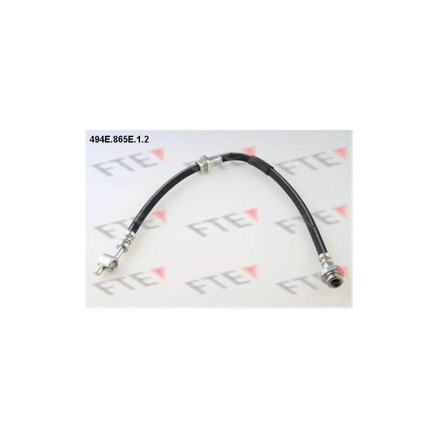 FTE 494E.865E.1.2 Brake Hose for Nissan Almera Tino (V10)