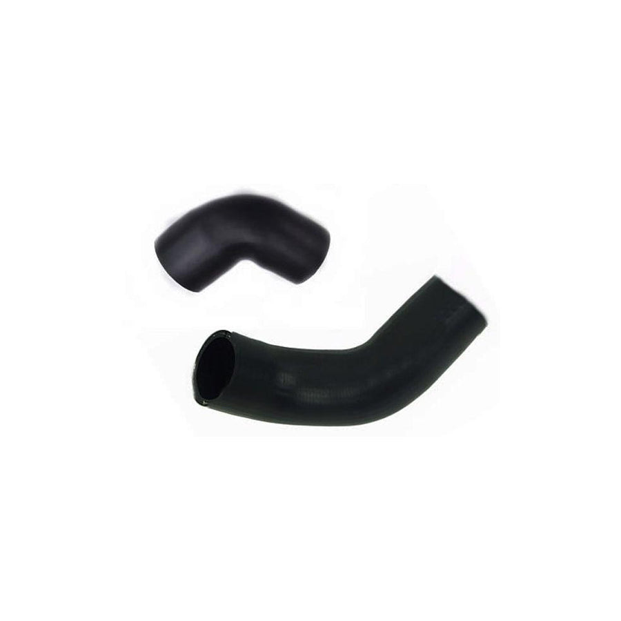 BUGIAD 81973 Charger Intake Hose for Fiat Stilo