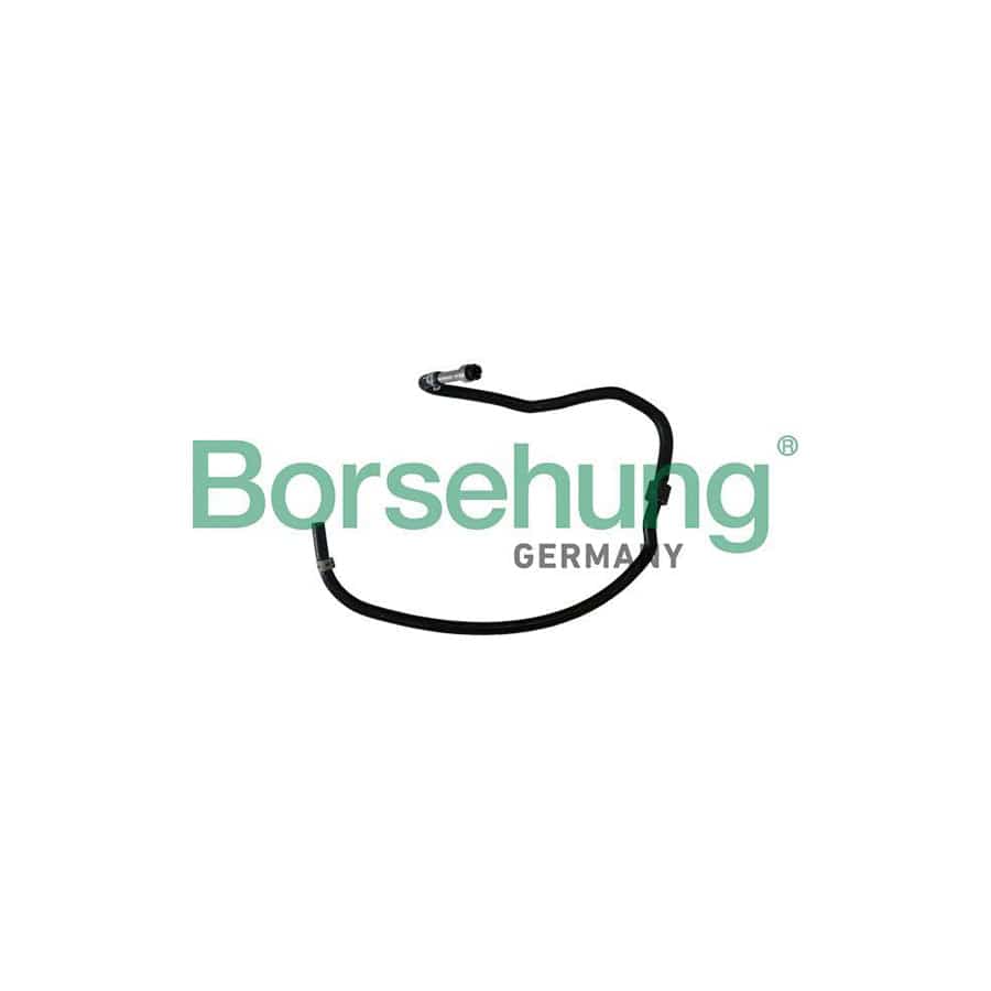 Borsehung B11969 Fuel Line