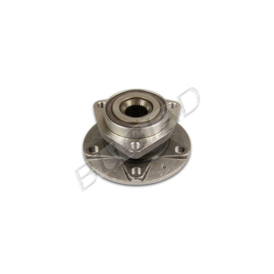 BUGIAD Bsp20460 Wheel Bearing Kit