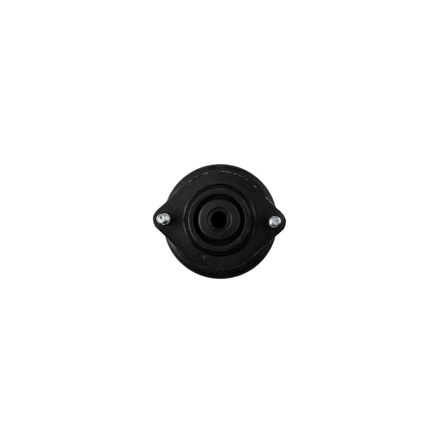 Bilstein 12-255559 TOYOTA B1 Rear Top Strut Mount (Inc. Paseo  & Starlet) 2 | ML Performance UK Car Parts