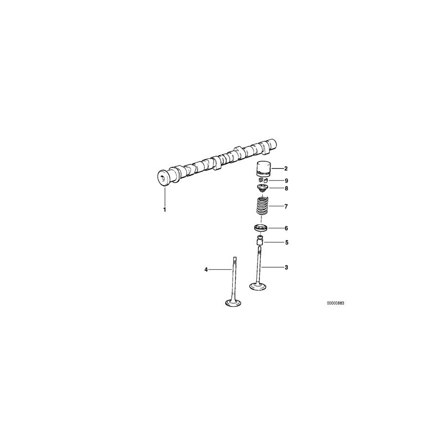 Genuine BMW 11342244862 E36 E34 Exh. Valve W.Oversize Va.System +0,1mm 31,0/6,05mm (Inc. 318tds, 325tds & 525td) | ML Performance US Car Parts