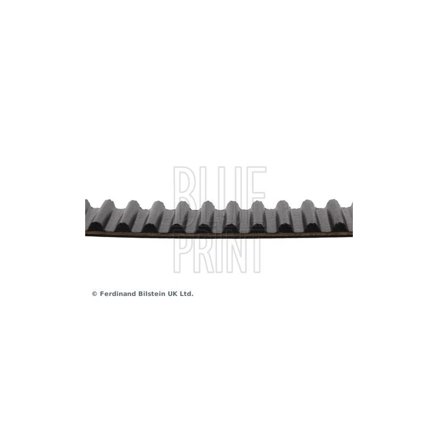 Blue Print Adm57531 Timing Belt