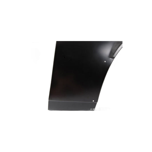 Genuine BMW 41351839206 E24 Side Panel, Front Right (Inc. 633CSi, 630CS & 635CSi) | ML Performance US Car Parts