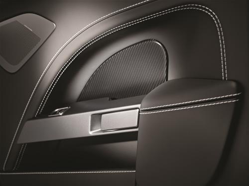Aston Martin FD43-87-10152 Door Inserts Carbon Fibre - Front | ML Performance US Car Parts