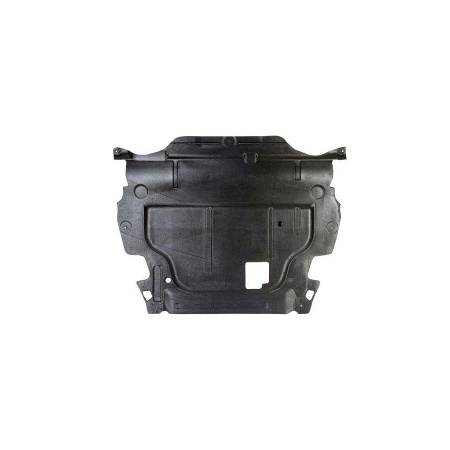 Blic 6601-02-2556860P Engine Cover