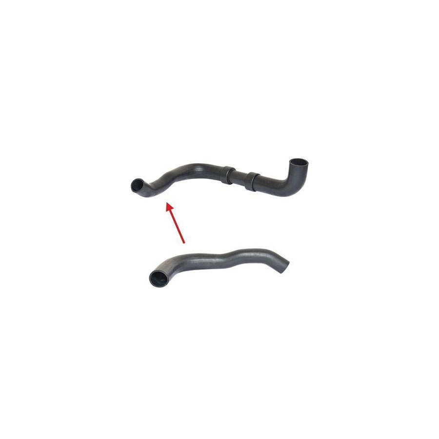BUGIAD 88789 Charger Intake Hose for Ford Transit