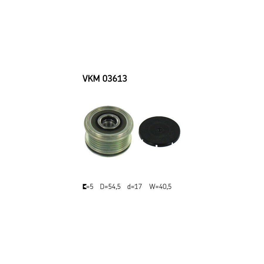 Skf Vkm 03613 Alternator Freewheel Clutch | ML Performance US Car Parts