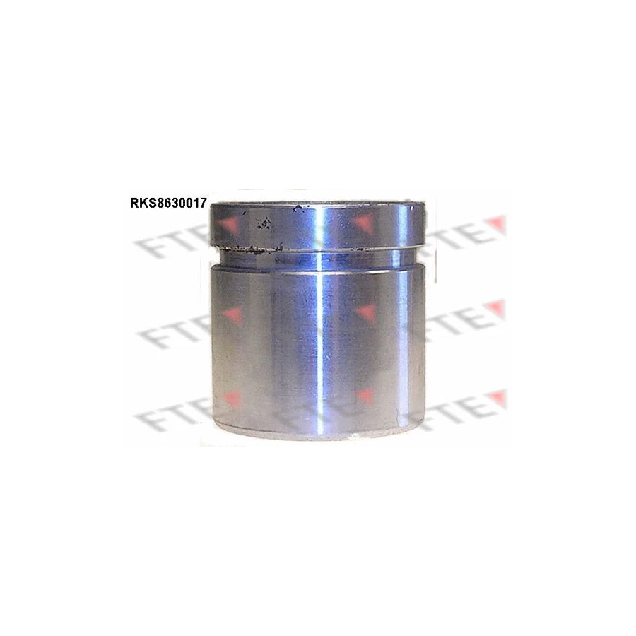 FTE 9313252 Piston, Brake Caliper for Mitsubishi Pajero / Shogun Sport I Off-Road (K70, K90)