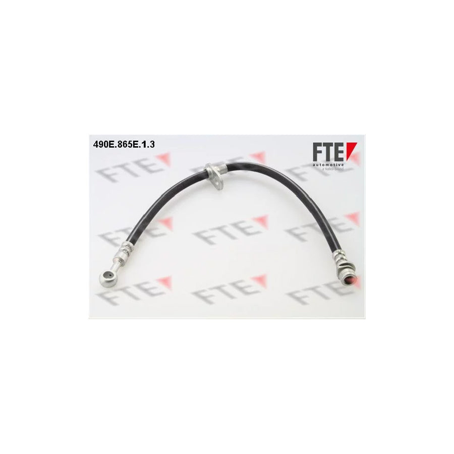FTE 490E.865E.1.3 Brake Hose