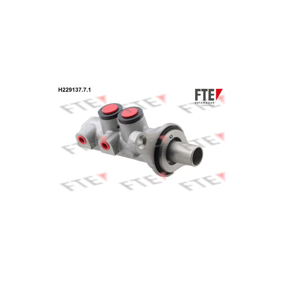 FTE H229137.7.1 Brake Master Cylinder
