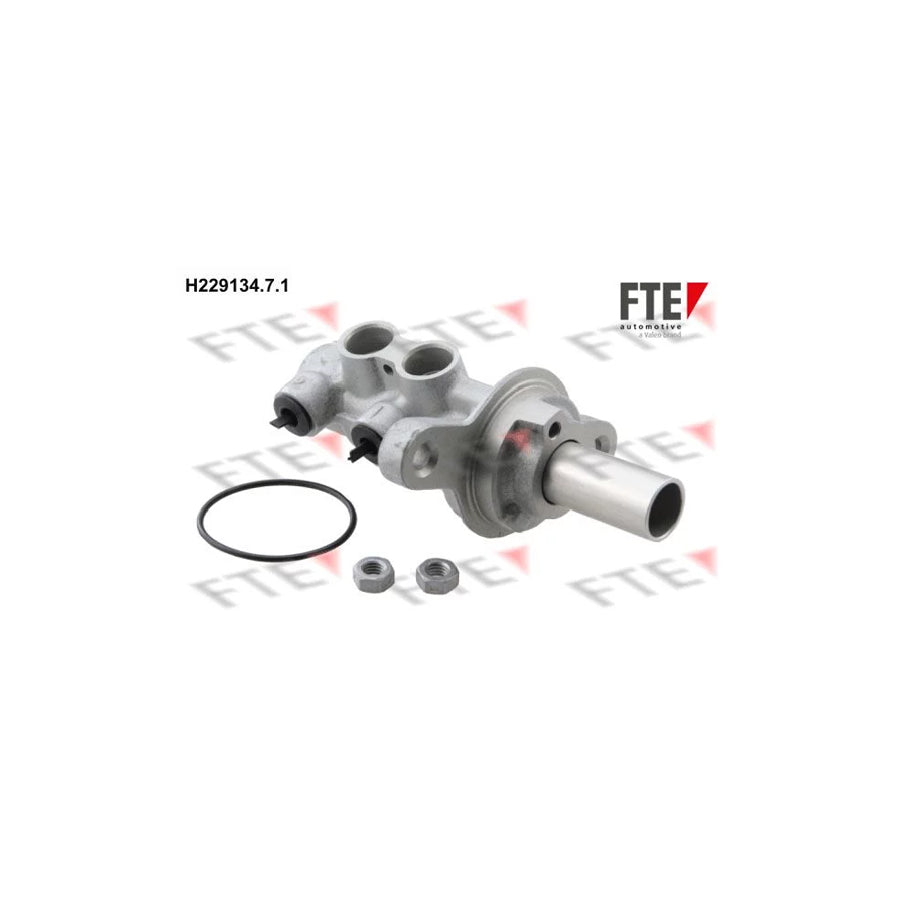 FTE H229134.7.1 Brake Master Cylinder