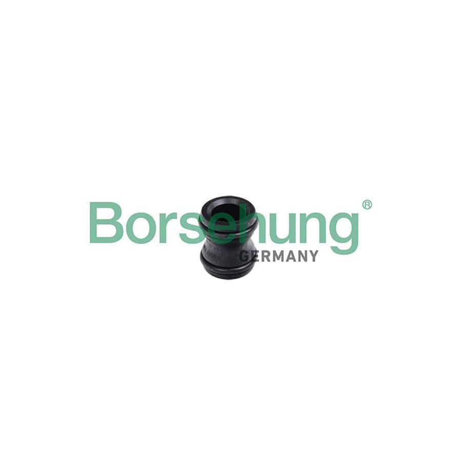 Borsehung B11991 Hub, Water Pump