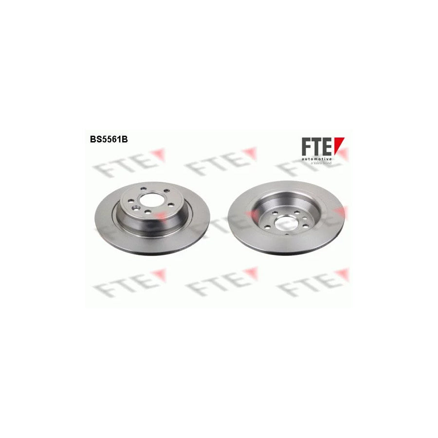 FTE Bs5561B Brake Disc