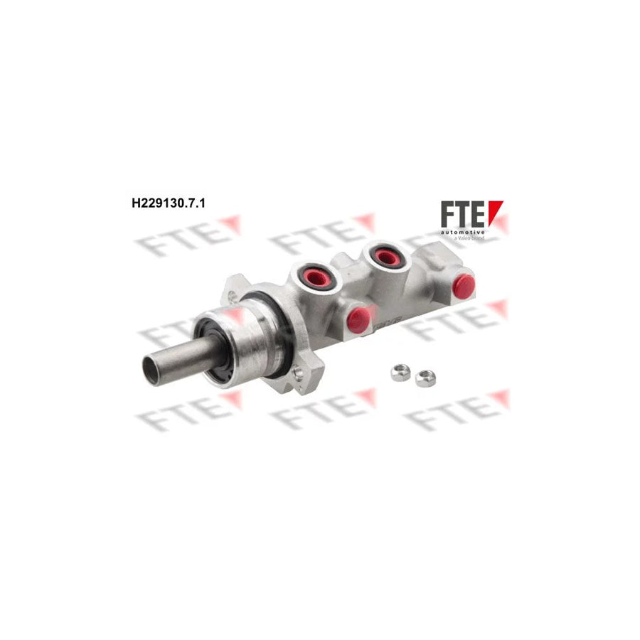 FTE H229130.7.1 Brake Master Cylinder