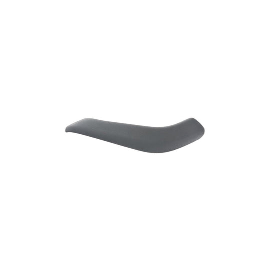 Genuine BMW 51417417514 F48 Trim Cover, Pull Strap, Right SCHWARZ (Inc. X1 18i) | ML Performance UK Car Parts