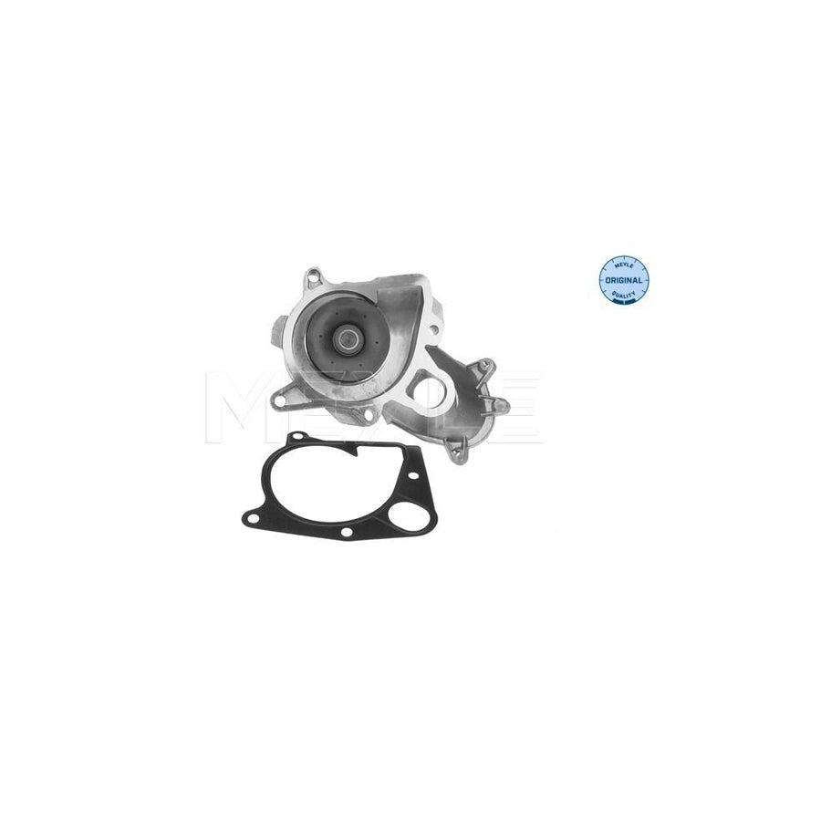 Meyle 313 220 0009 Water Pump