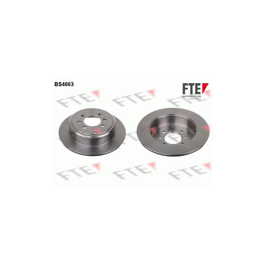 FTE 9072138 Brake Disc for Peugeot 406