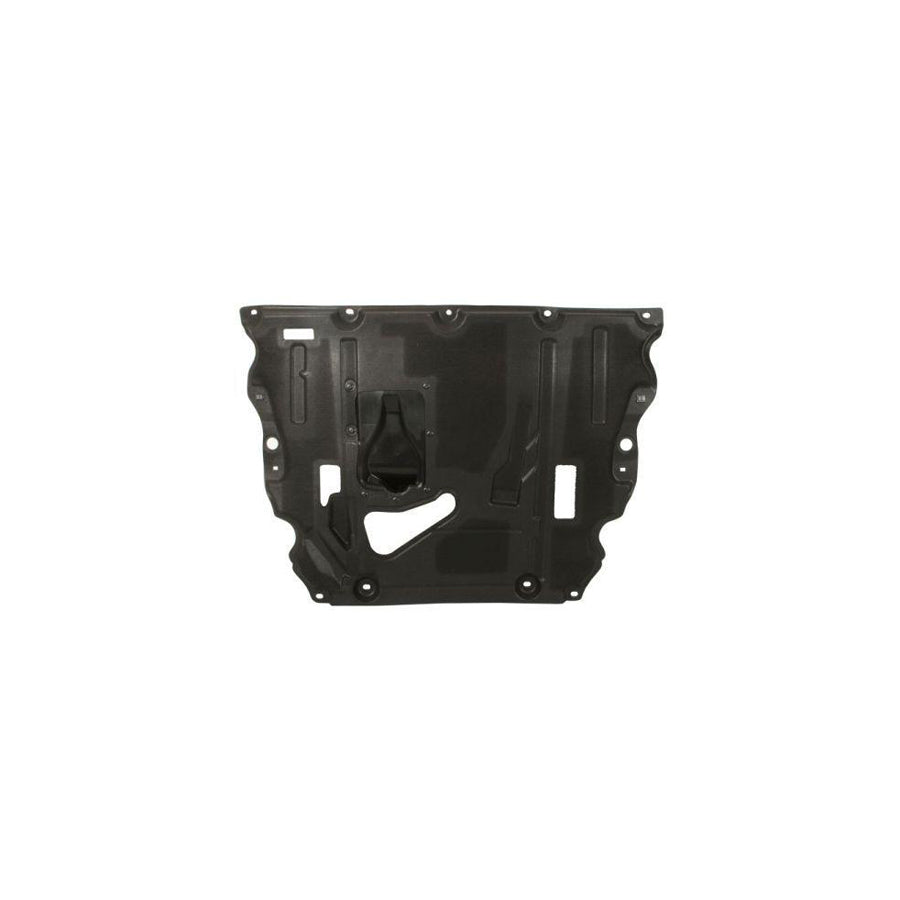 Blic 6601-02-2598860P Engine Cover