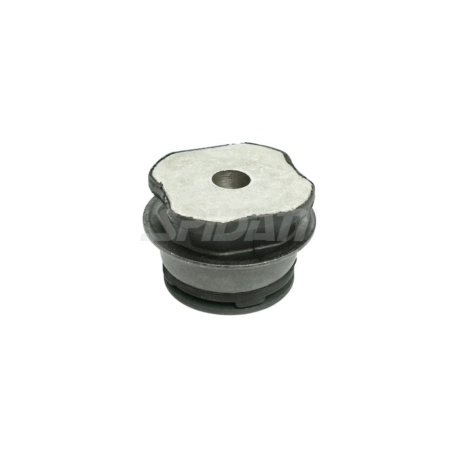 Spidan Chassis Parts 412095 Axle Bush