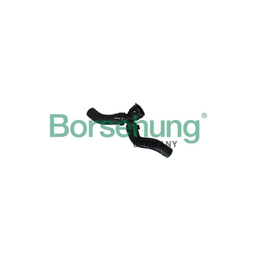 Borsehung B11984 Radiator Hose