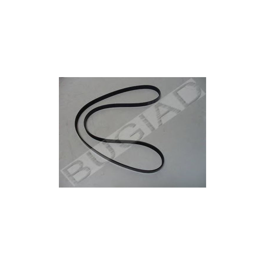 BUGIAD Bsp22028 V-Ribbed Belt