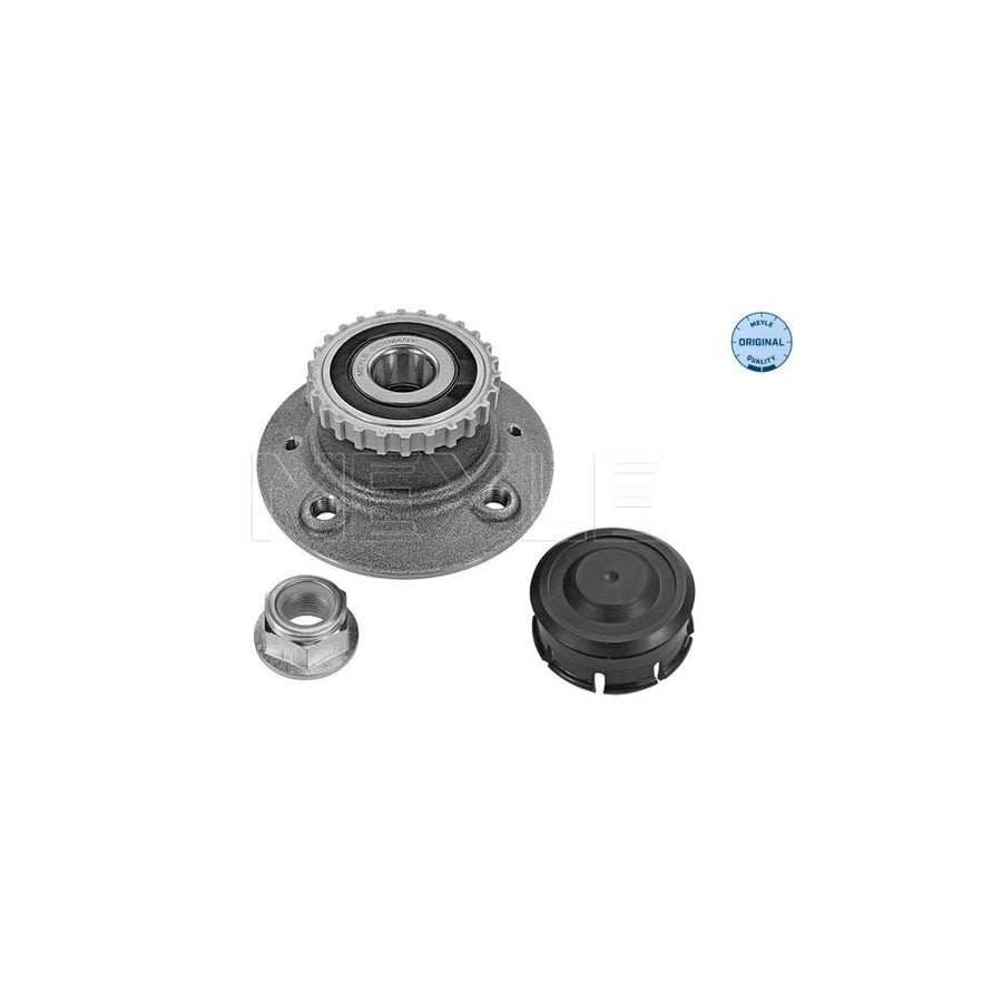 Meyle 16-14 752 0007 Wheel Hub For Renault Kangoo