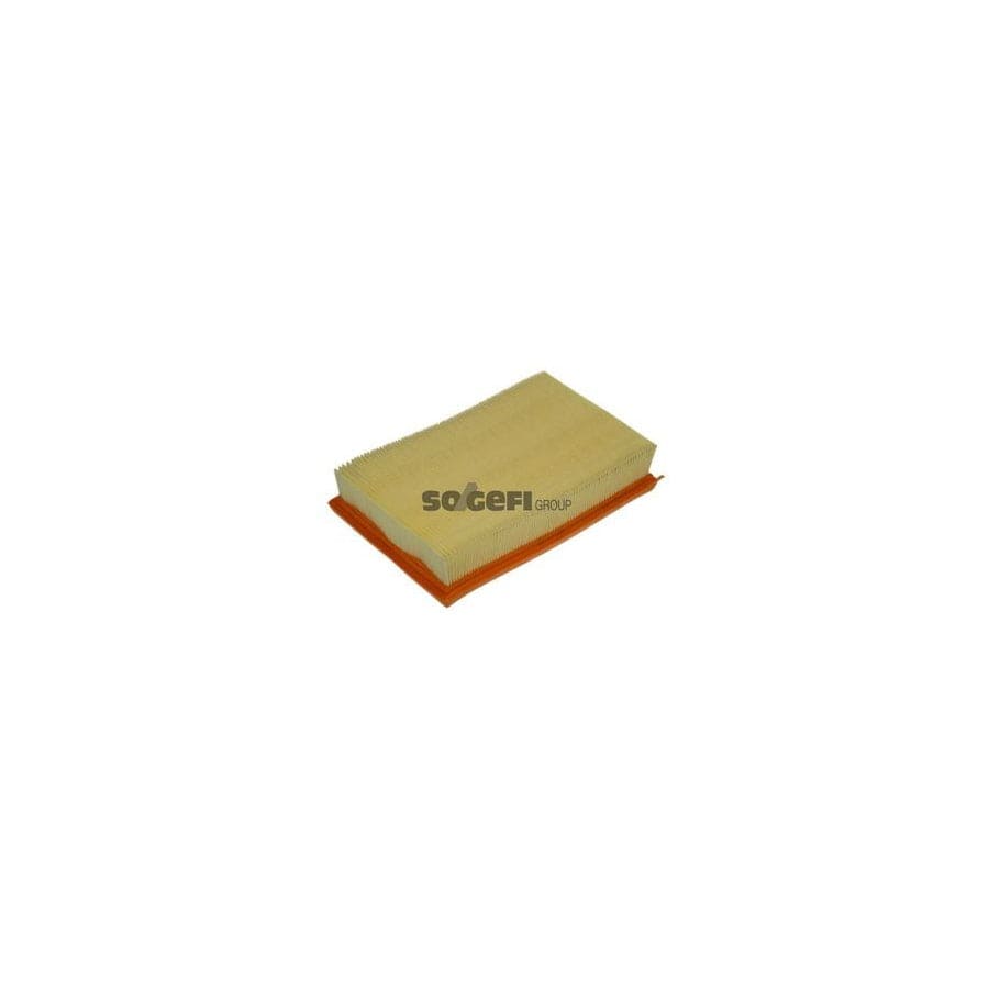 Purflux A1109 Air Filter