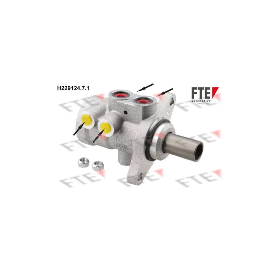FTE H229124.7.1 Brake Master Cylinder for Peugeot 206