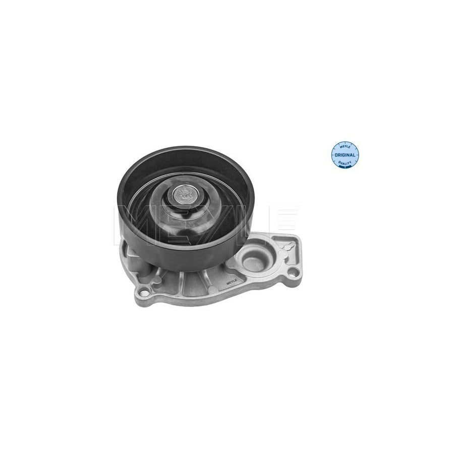 Meyle 313 220 0023 Water Pump