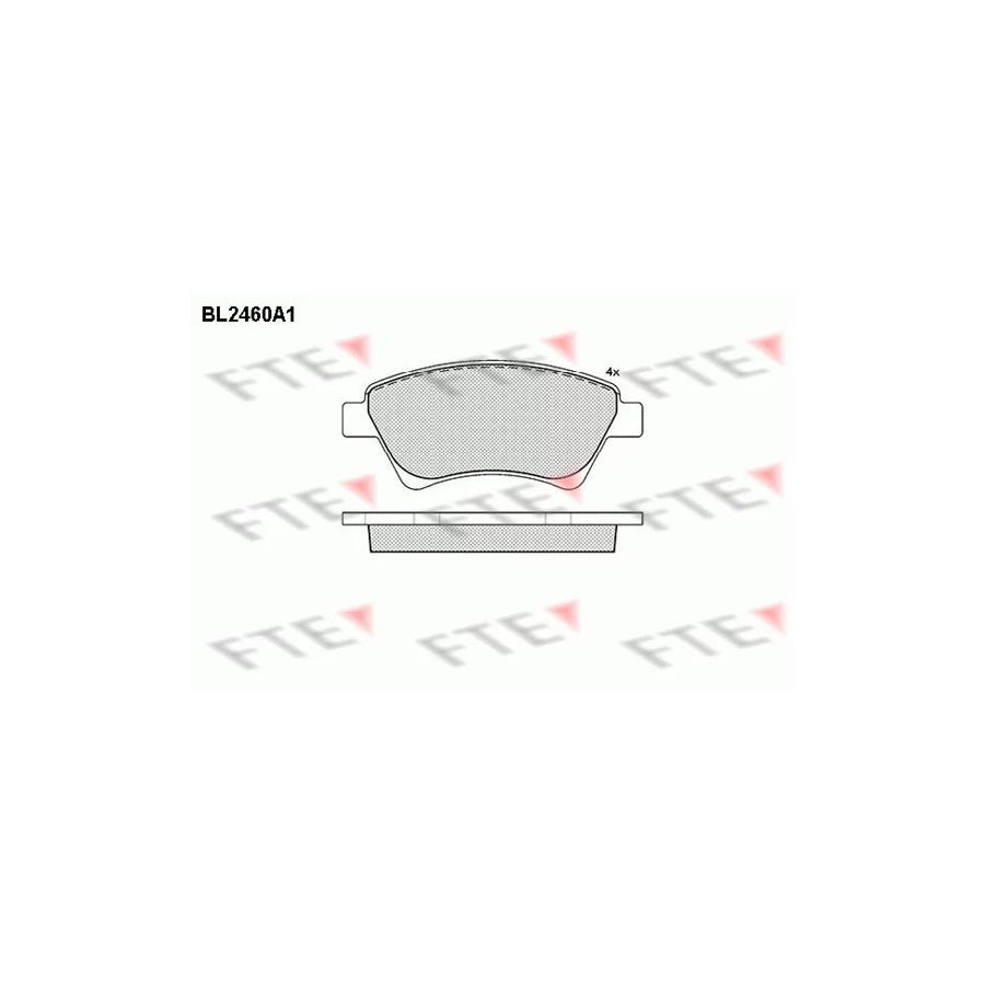 FTE 9010745 Brake Pad Set for Renault Kangoo