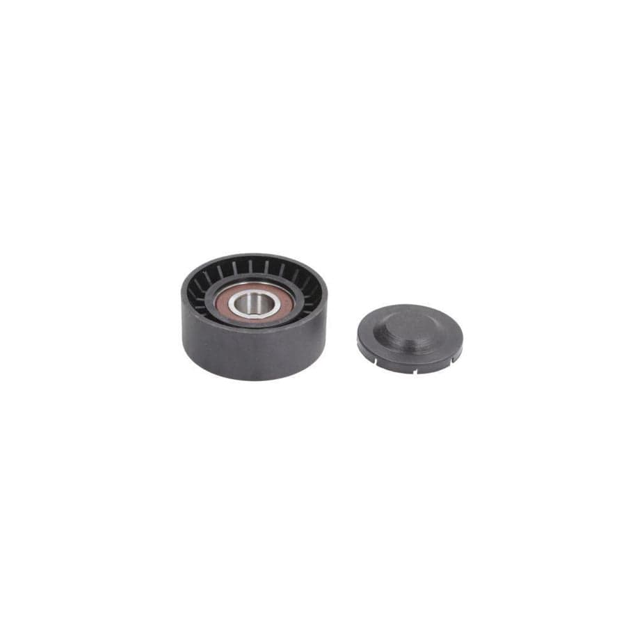 BTA E2M0054BTA Tensioner Lever, V-Ribbed Belt