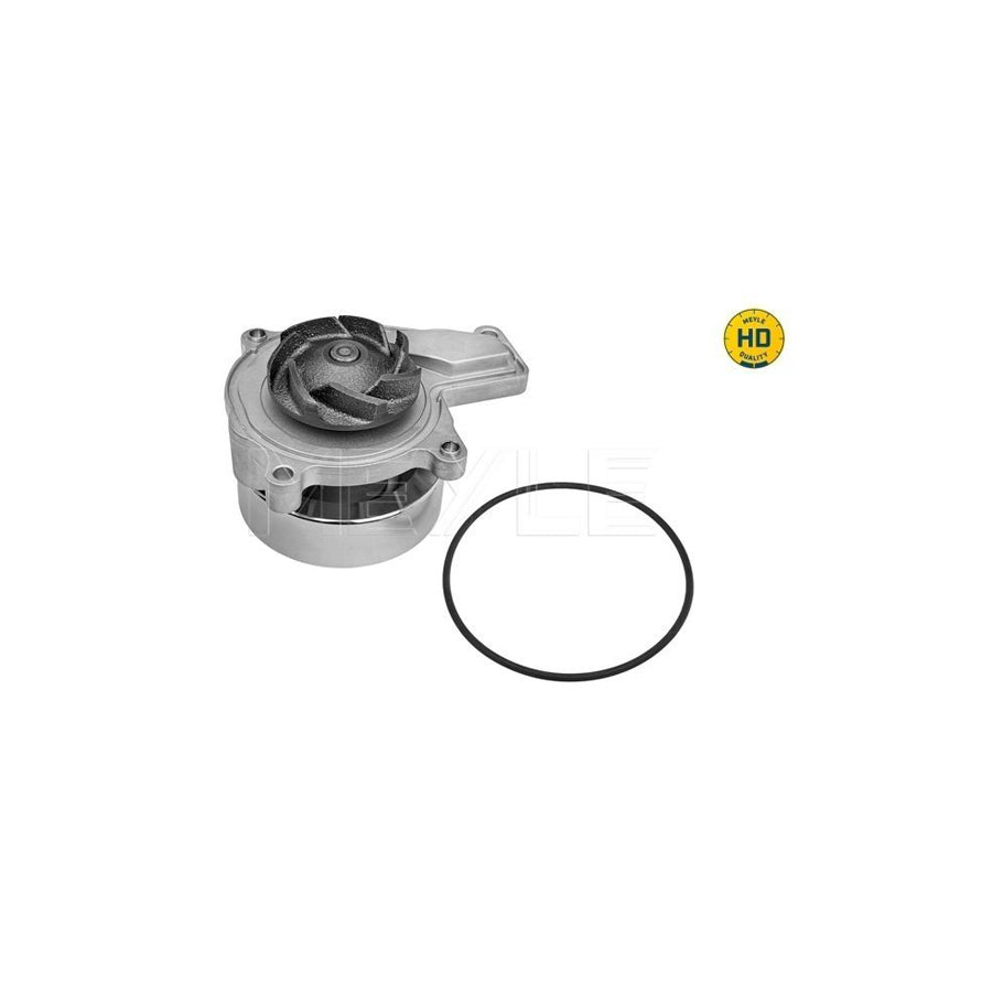 Meyle 313 220 0026/Hd Water Pump