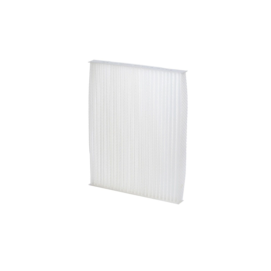 BLUE PRINT ADG02551 Pollen Filter