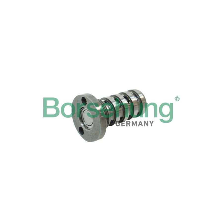 Borsehung B12123 Central Valve, Camshaft Adjustment