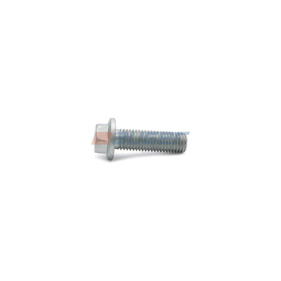 Auger 101879 Screw