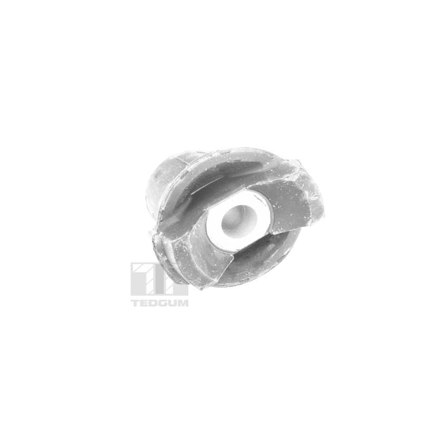 Tedgum Ted45880 Mounting, Axle Bracket