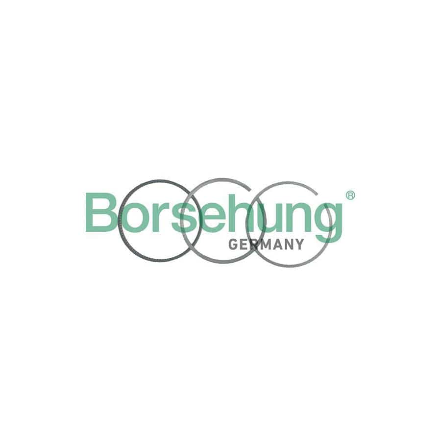 Borsehung B19049 Piston Ring Kit