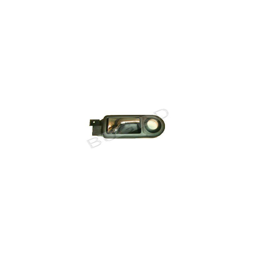 BUGIAD Bsp20467 Door Handle, Interior