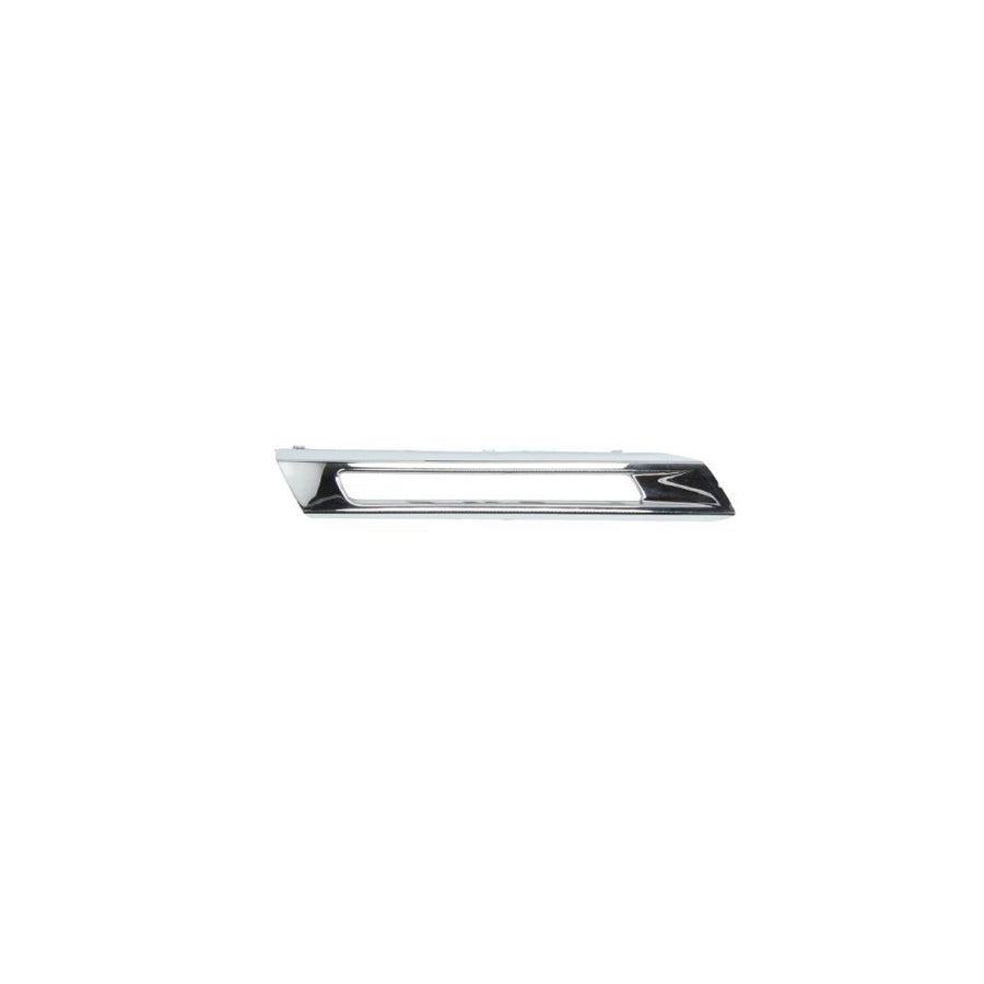 Blic 6502-07-3539921P Bumper Moulding Suitable For Mercedes-Benz Ml-Class (W166)
