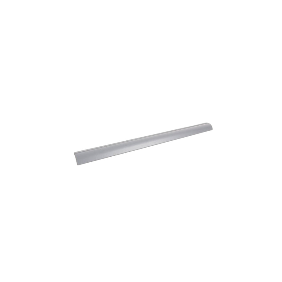 Genuine BMW 51478204005 E39 Sill Strip Front GRAU (Inc. 530i, 528i & 520d) | ML Performance UK Car Parts