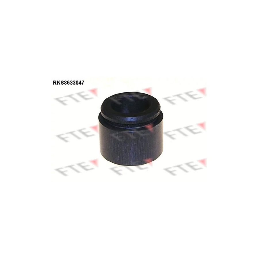 FTE 9313290 Piston, Brake Caliper