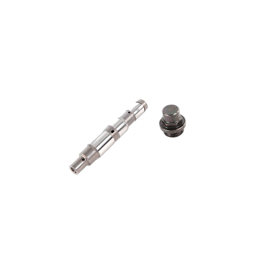 Genuine BMW 11317531813 E52 E53 E32 Chain Tensioner (Inc. X5 4.6is, 840i & 730i) | ML Performance UK Car Parts
