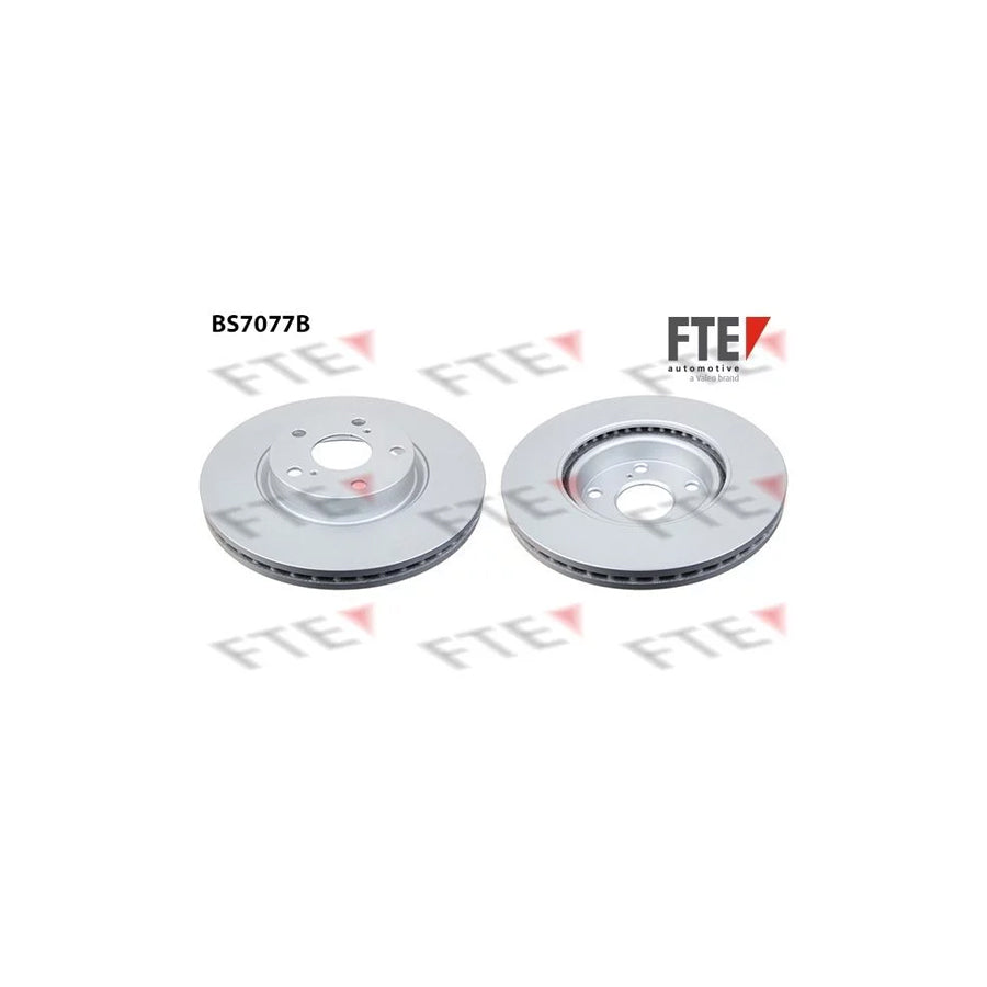 FTE Bs7077B Brake Disc