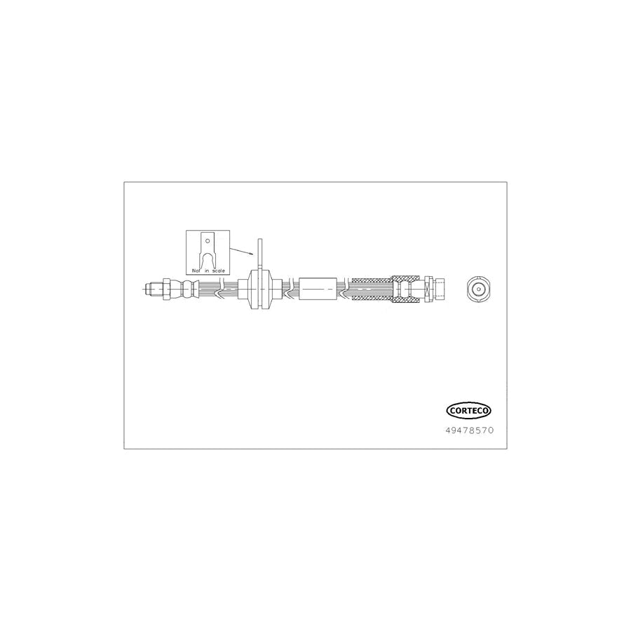 Corteco 49478570 Brake Hose for Ford Focus